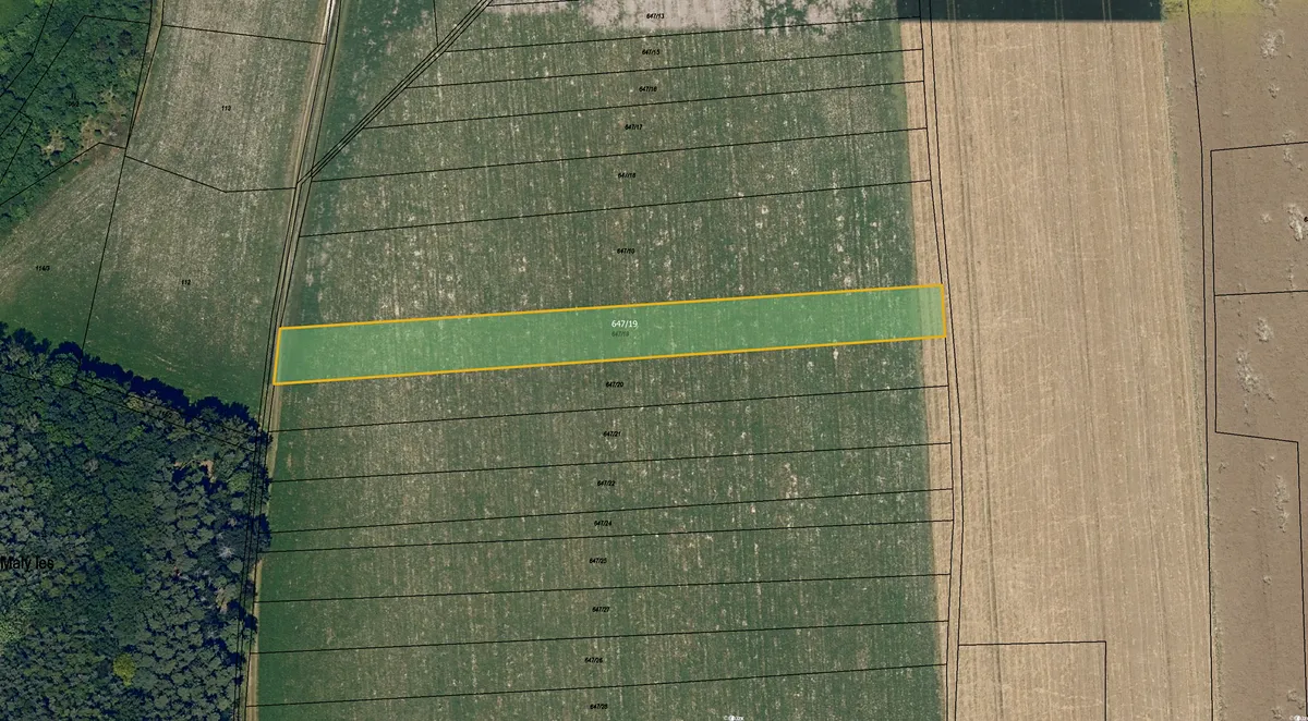 Prodej pole 4002 m²
